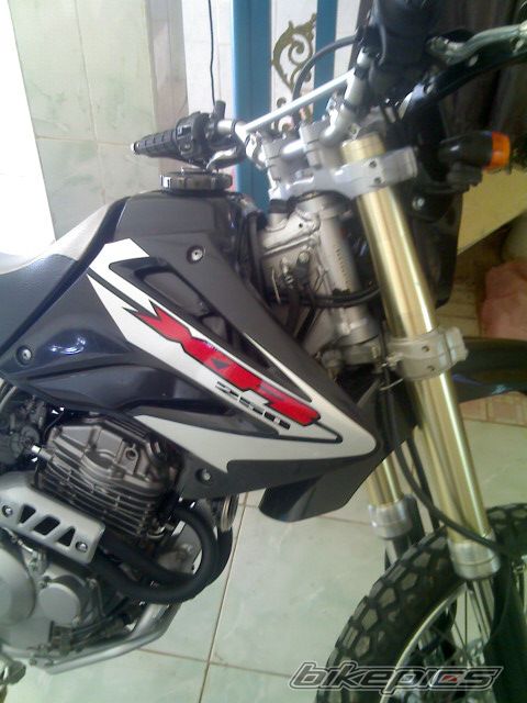 Photo 1853738