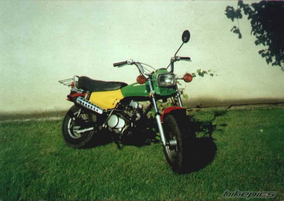 Photo 185407