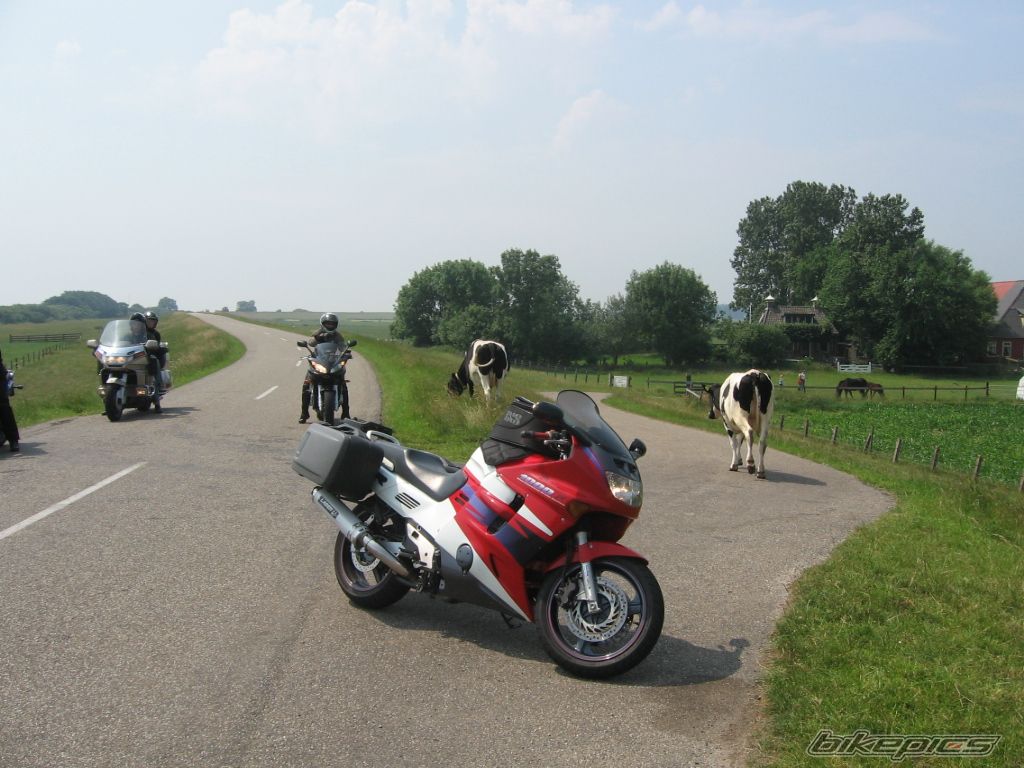 Bike Photo 1854191