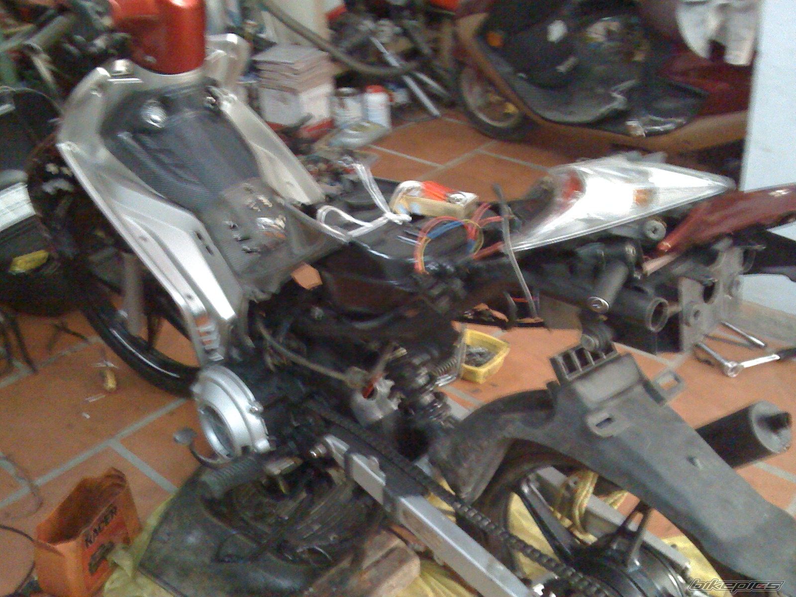 Photo 1854308