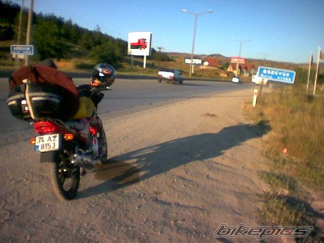Photo 185431