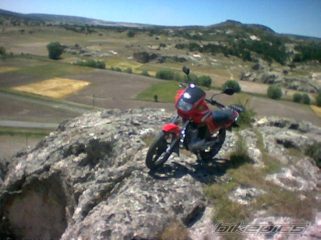 Photo 185433