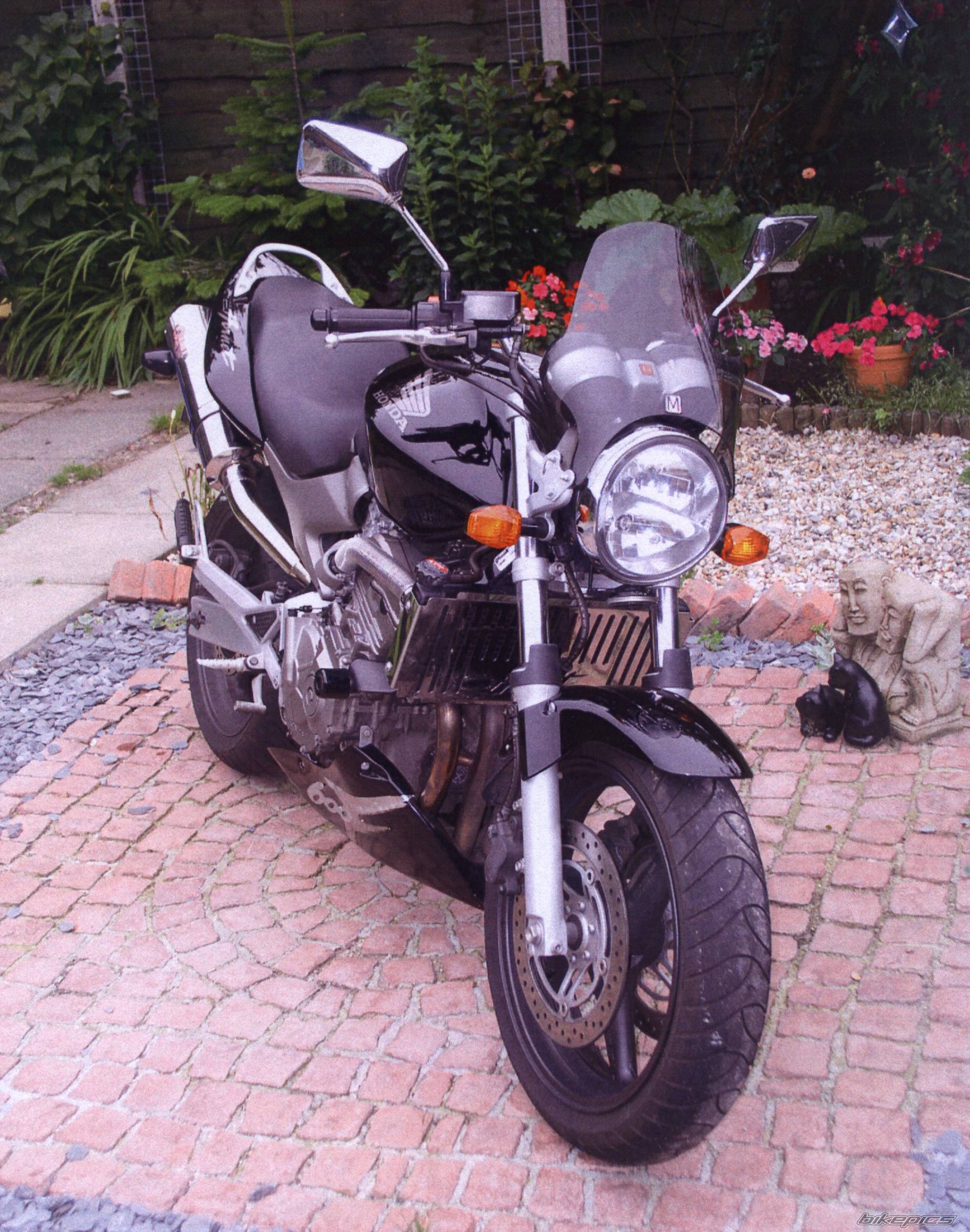 Photo 185453