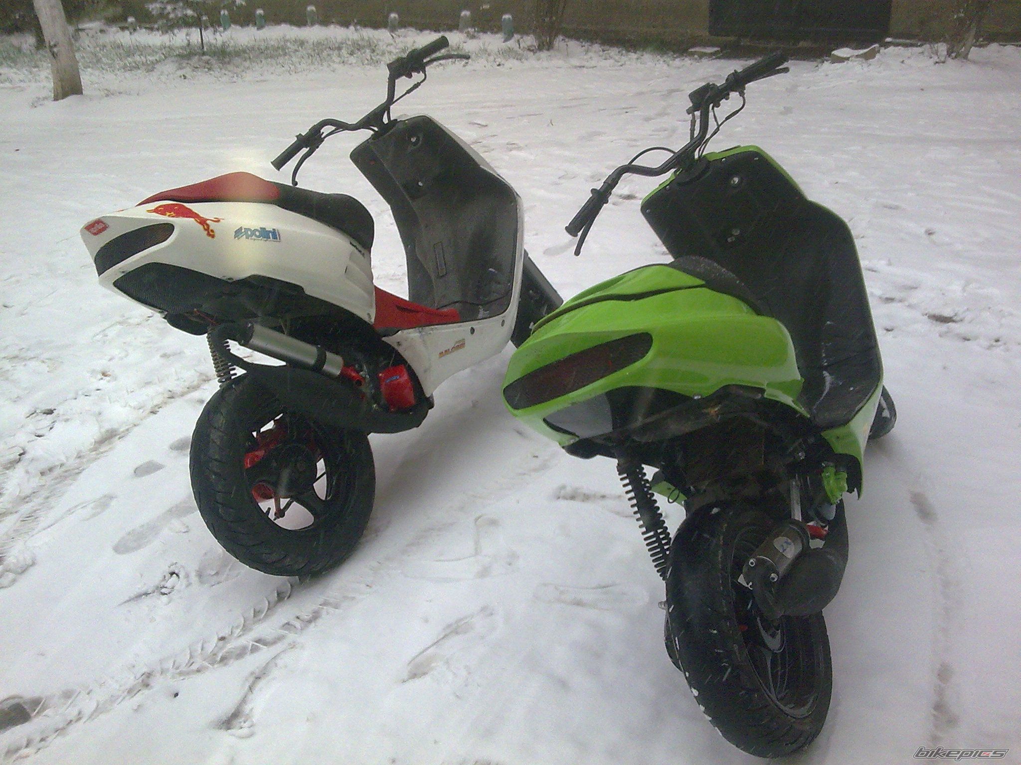 Photo 1854736