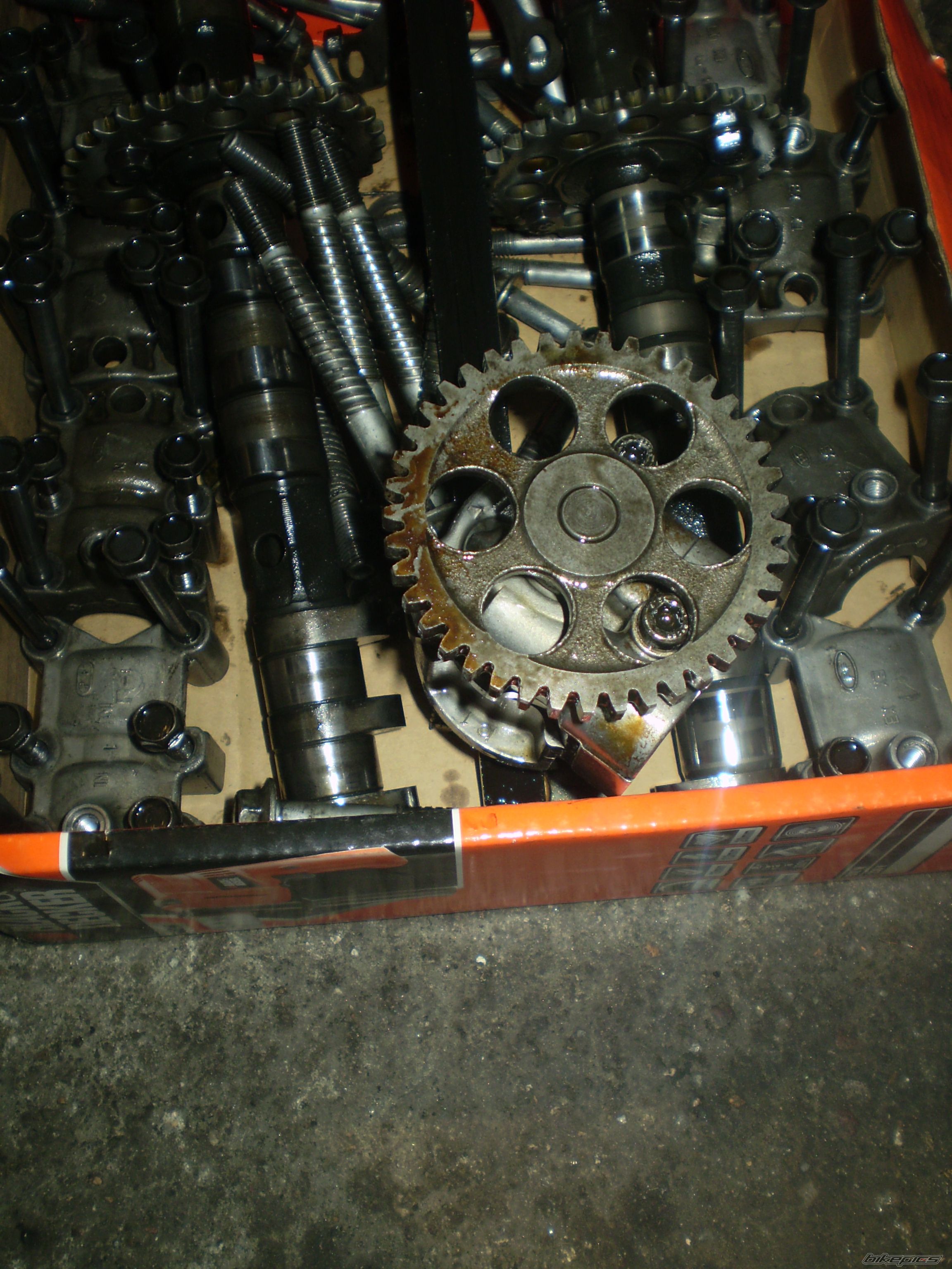 Photo 1855069