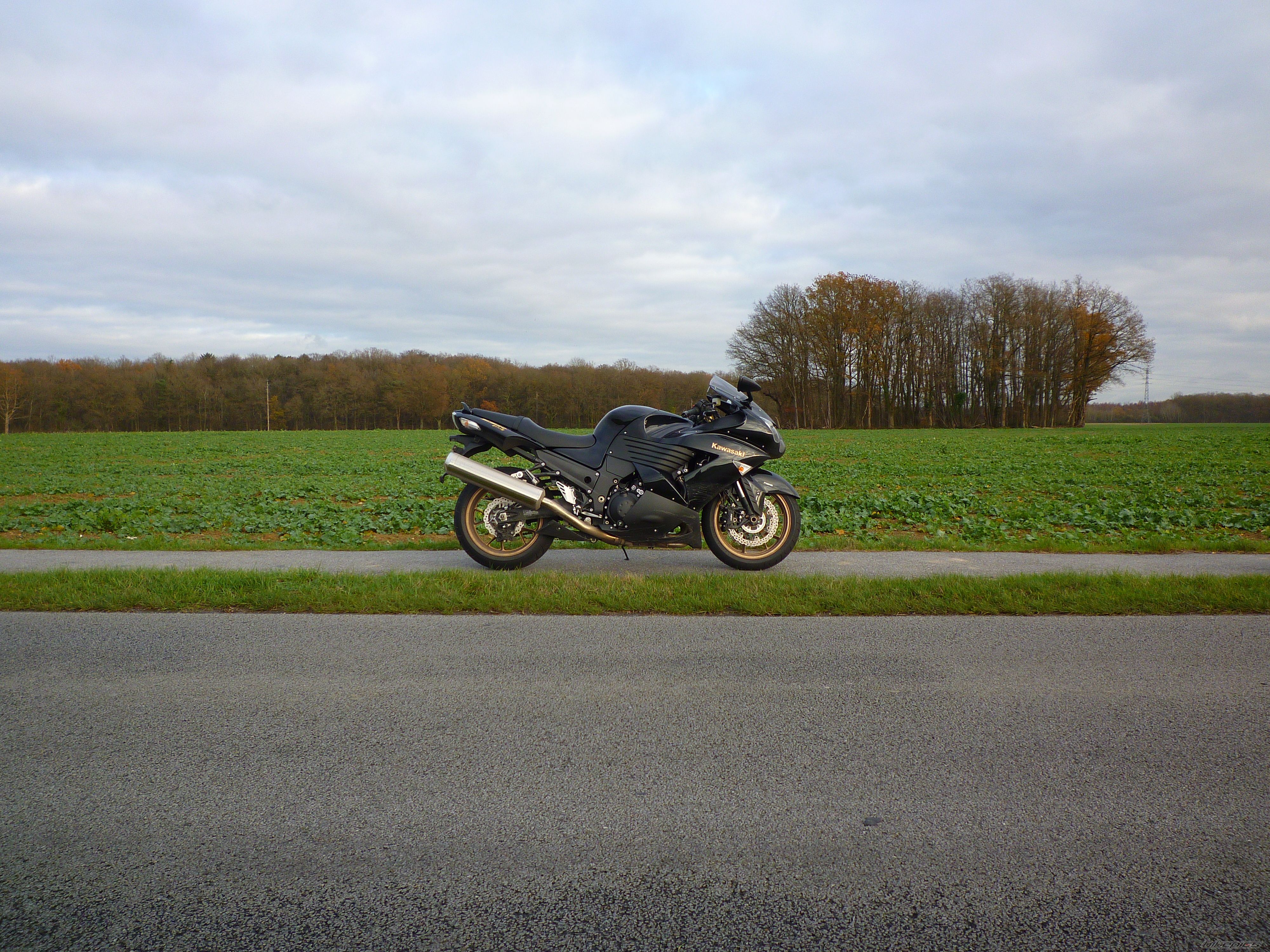 Photo 1855897