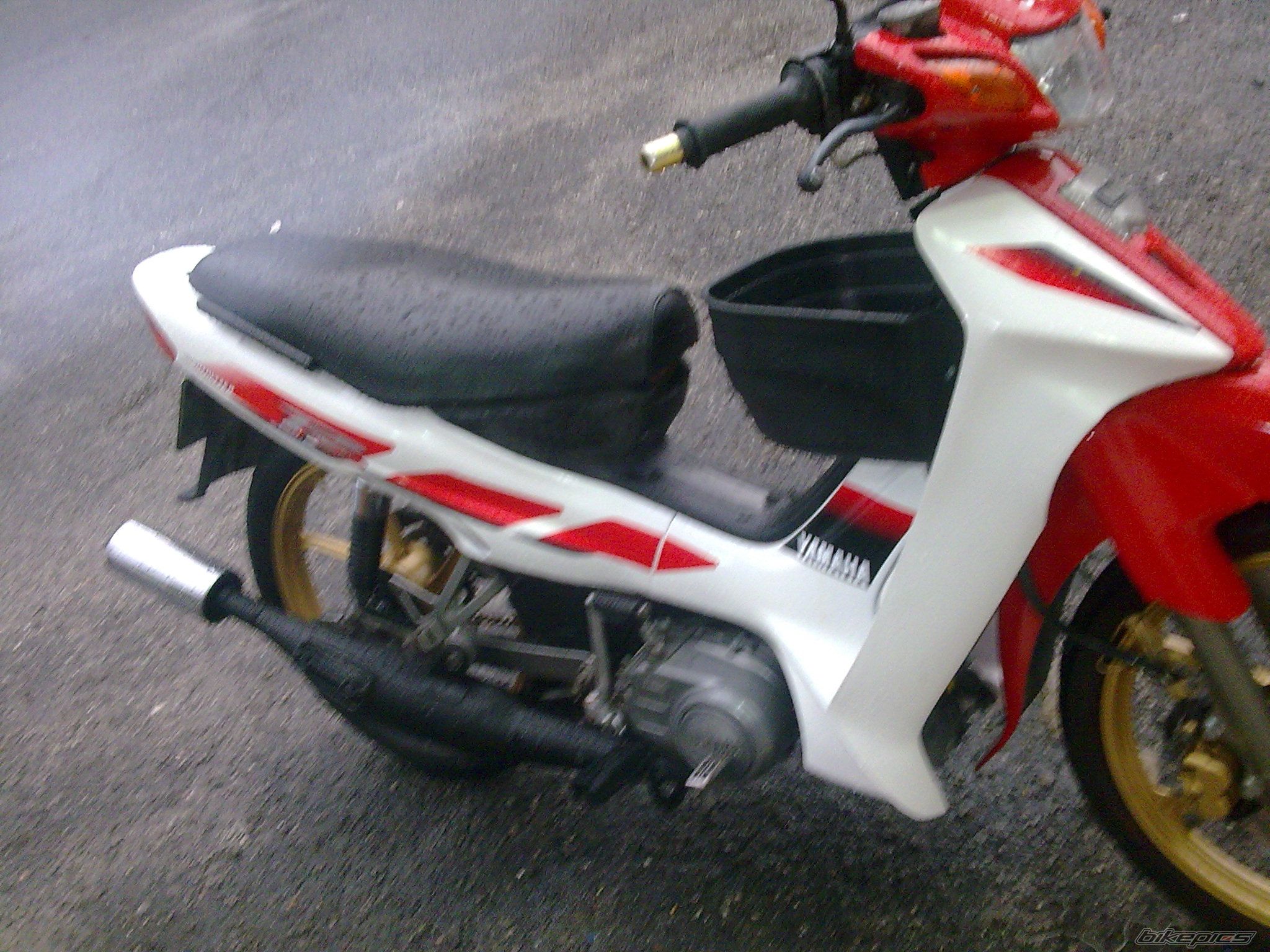 Photo 1855969