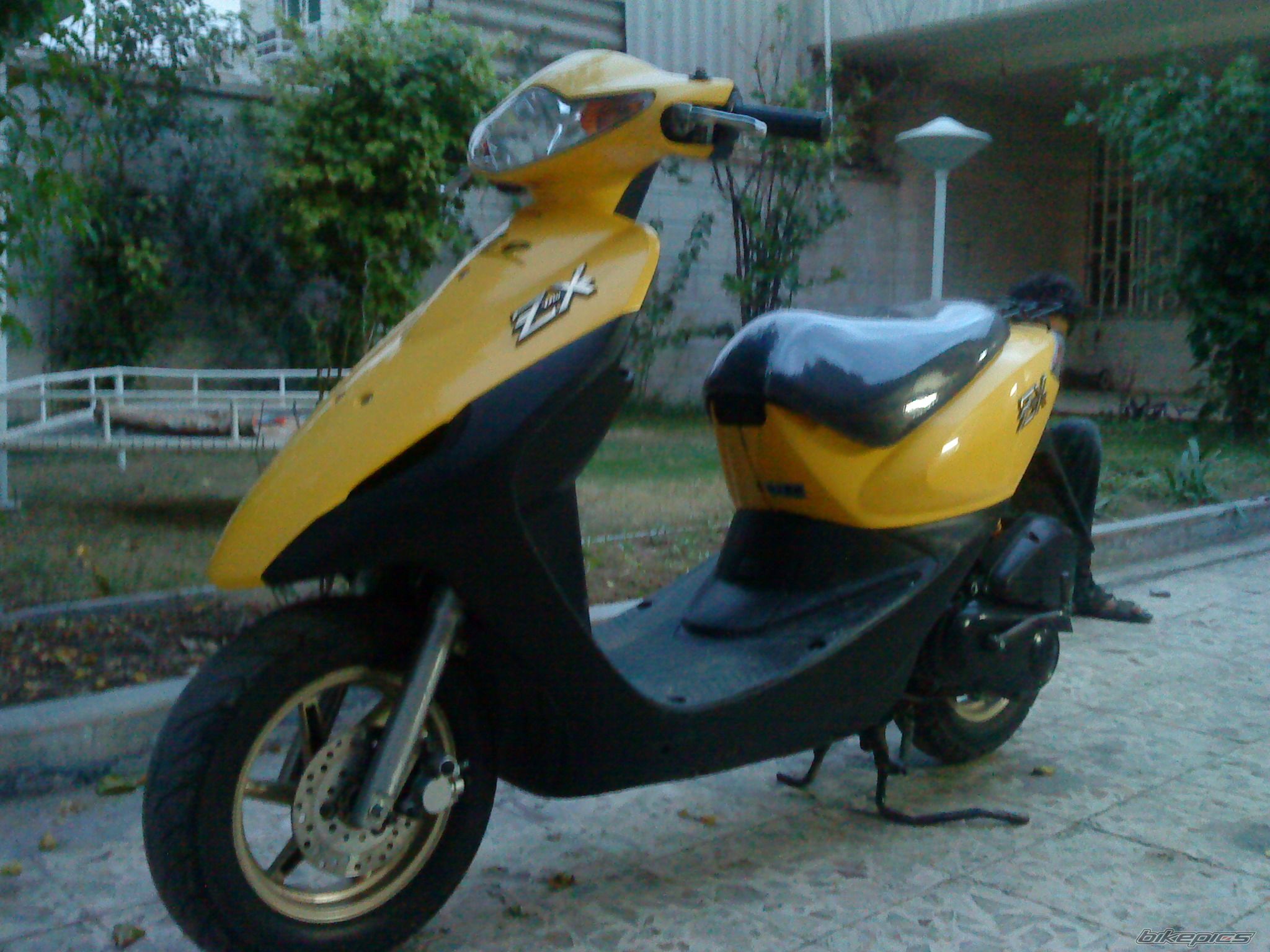 Photo 1855999