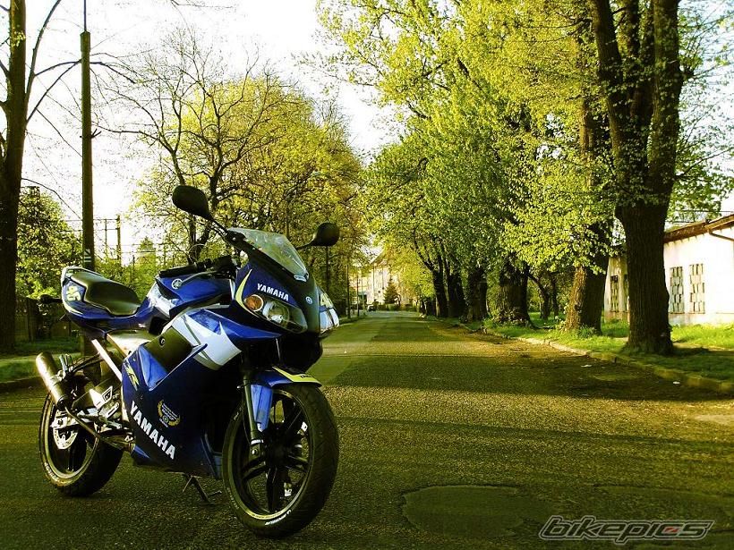 Bike Photo 1856466