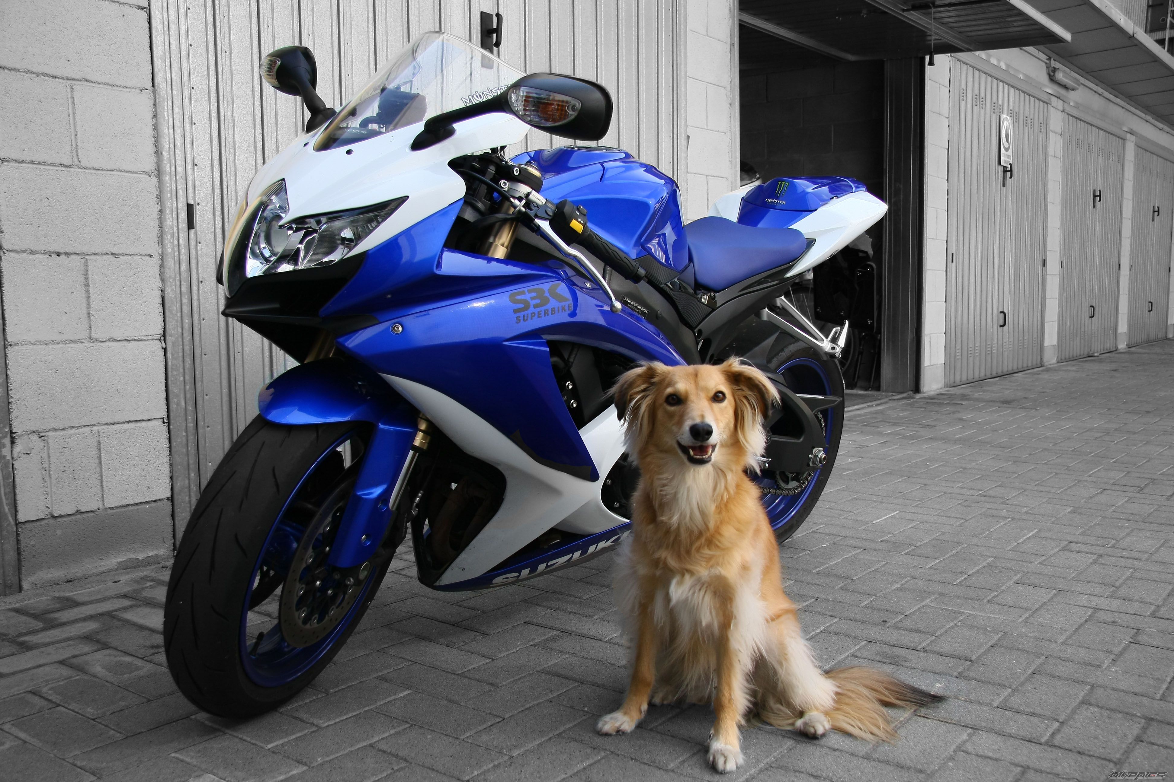 Bike Photo 1856615