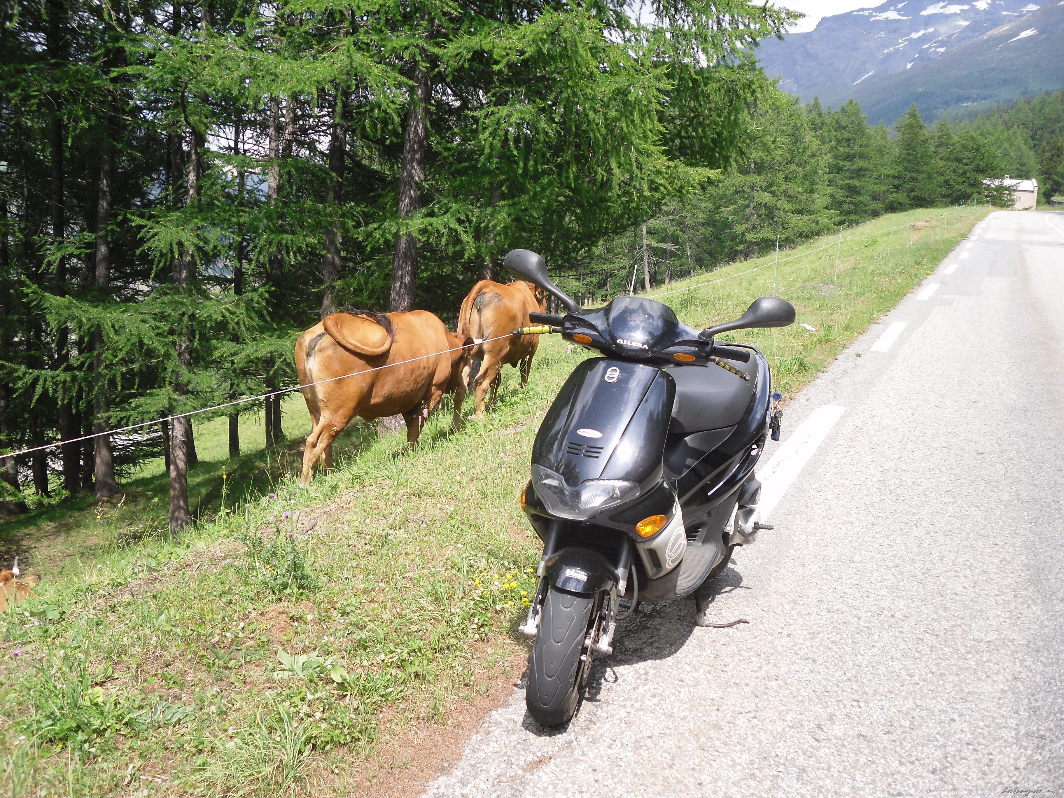 Bike Photo 1857060