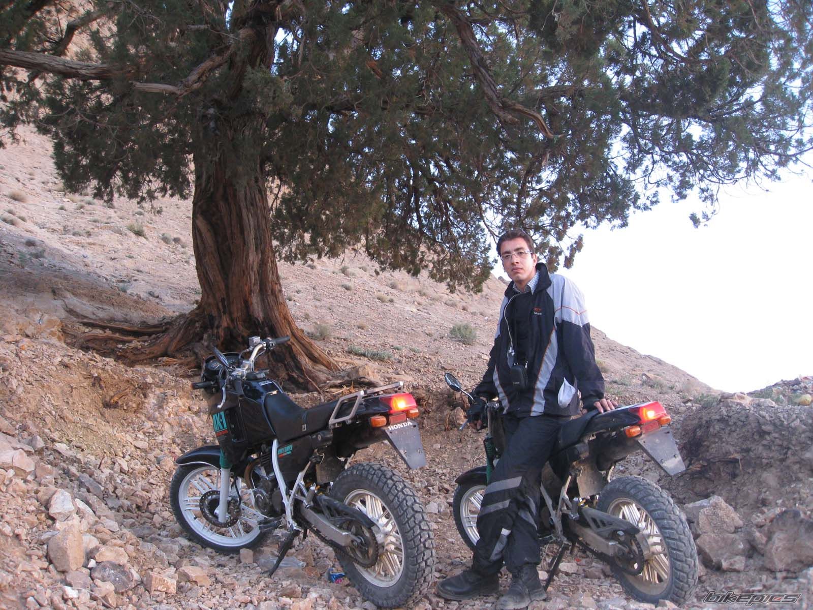 Bike Photo 1857160