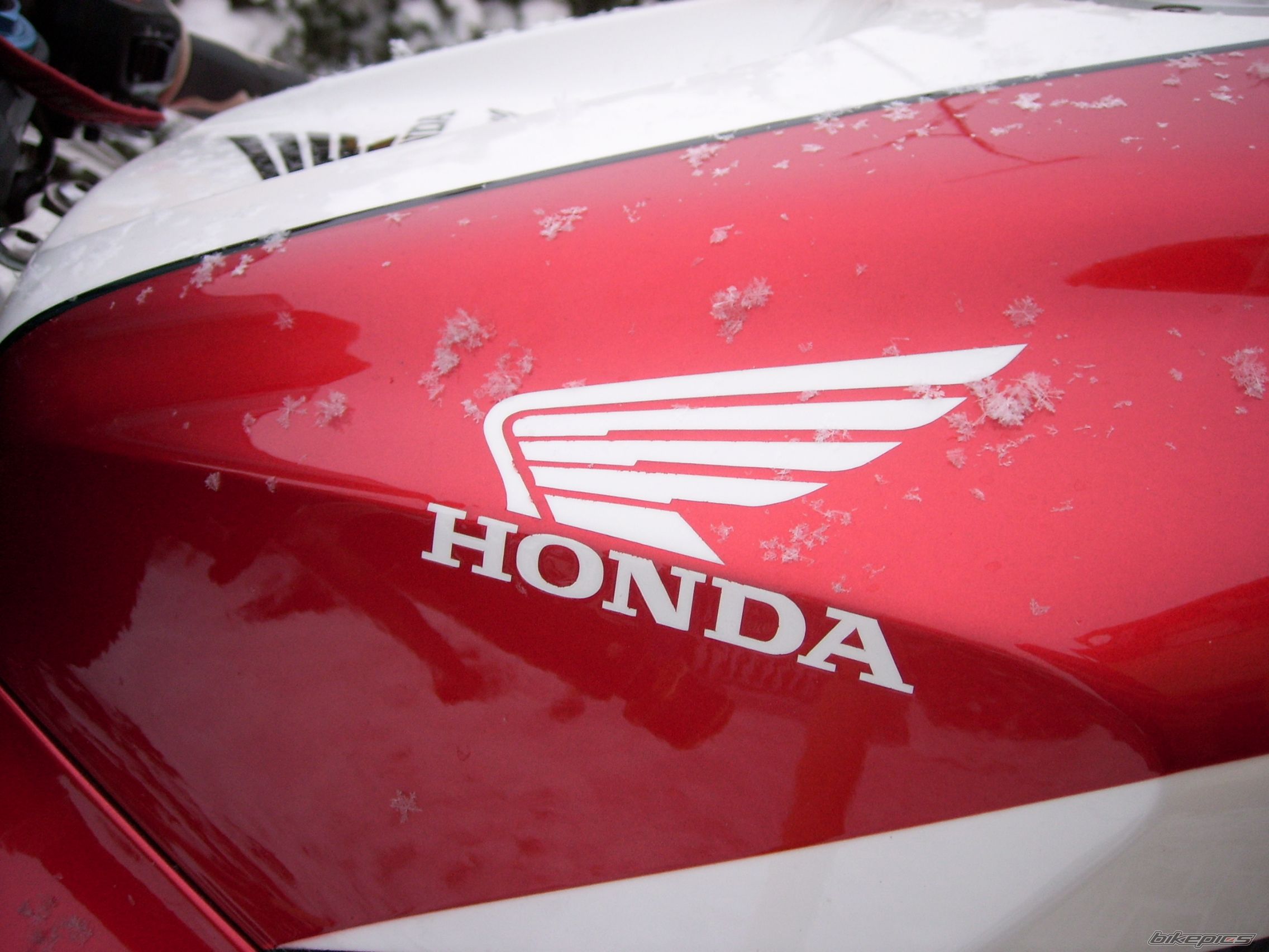 Bike Photo 1857935