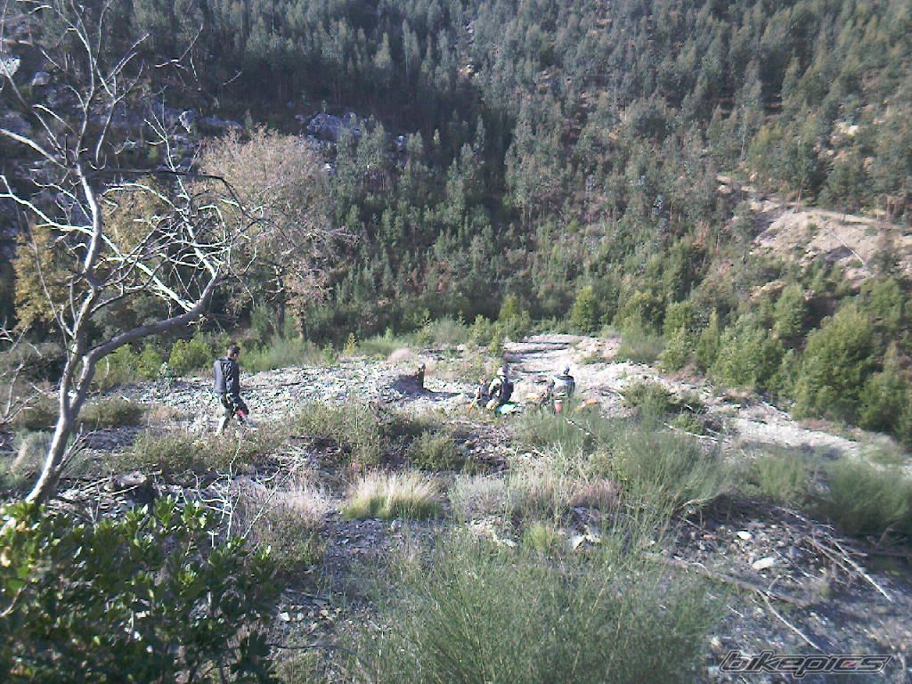 Bike Photo 1858022