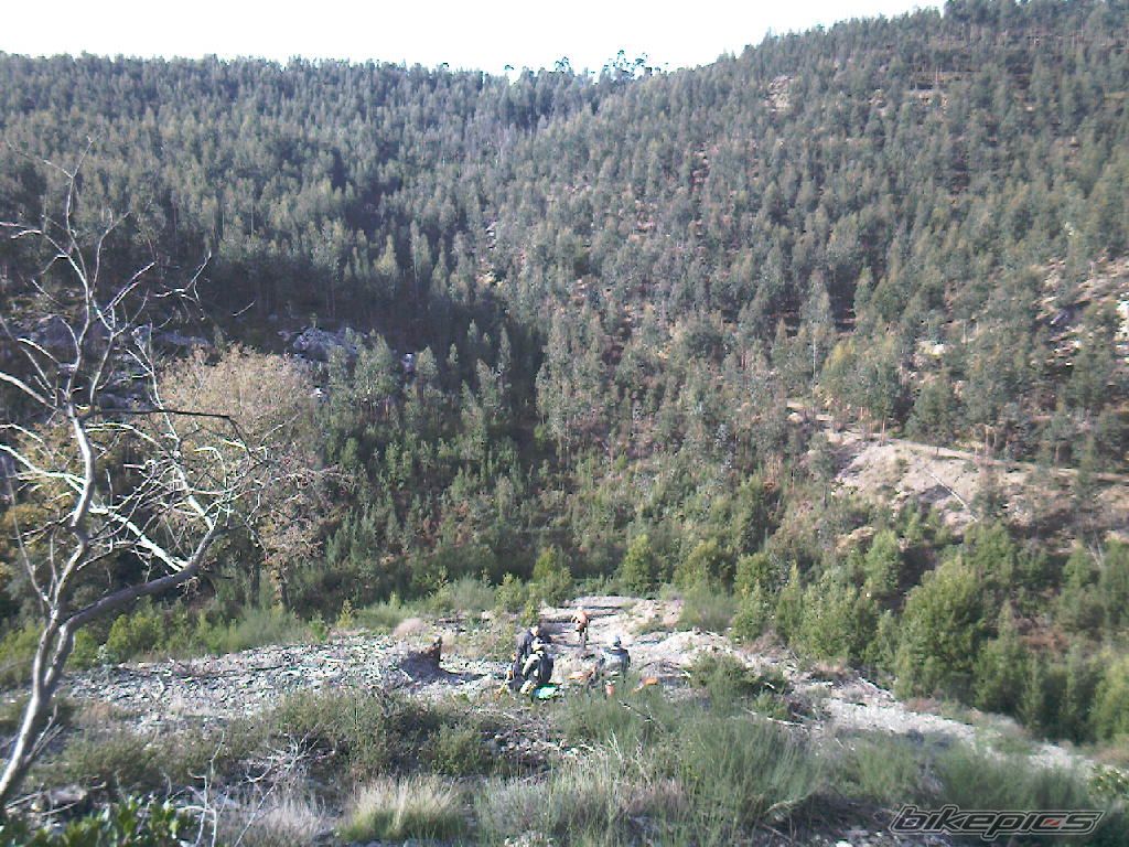 Bike Photo 1858023