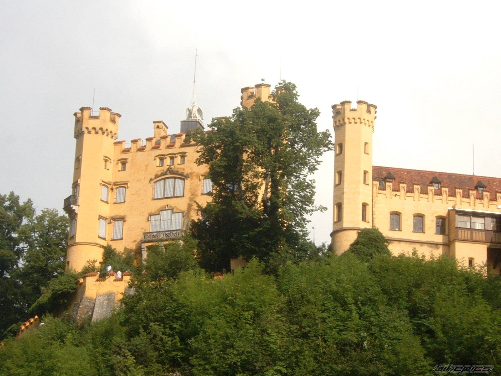 Photo 185805