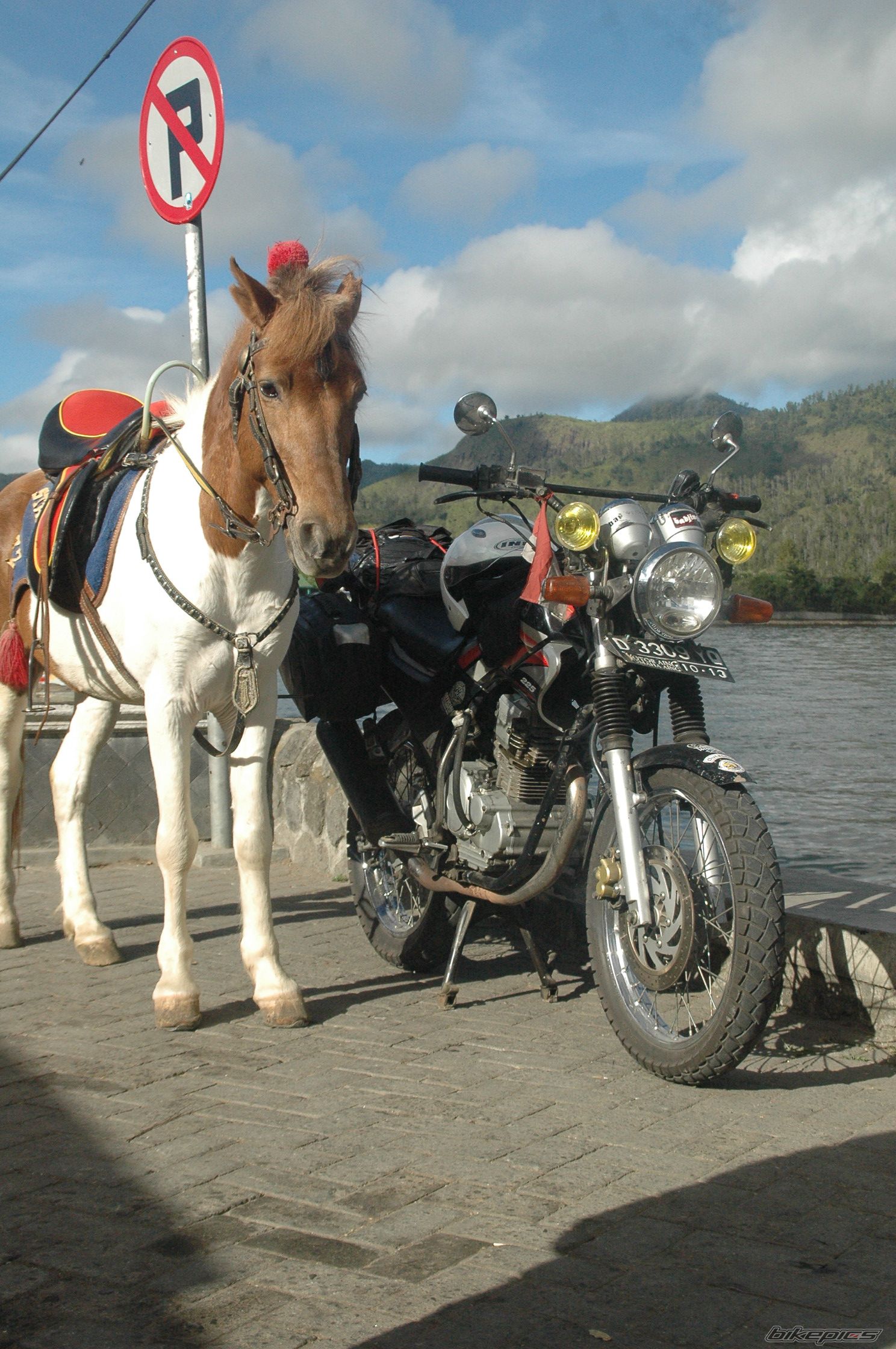 Bike Photo 1858907