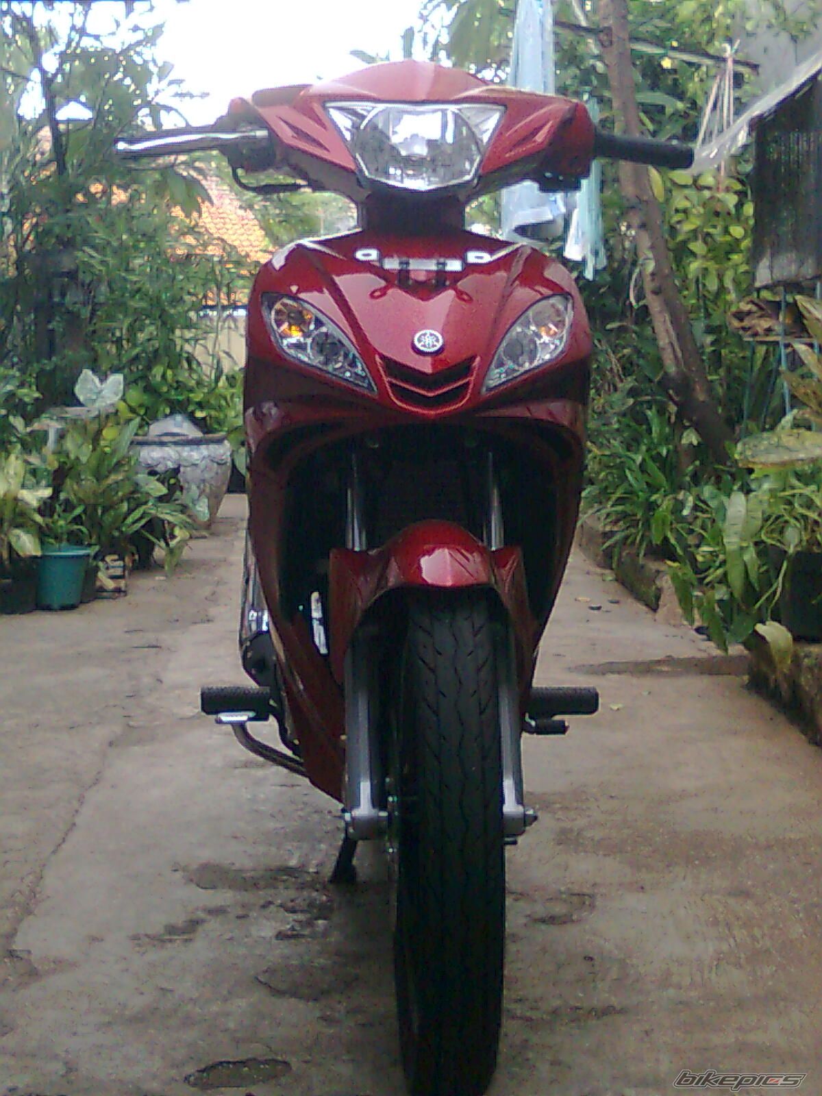 Photo 1858968
