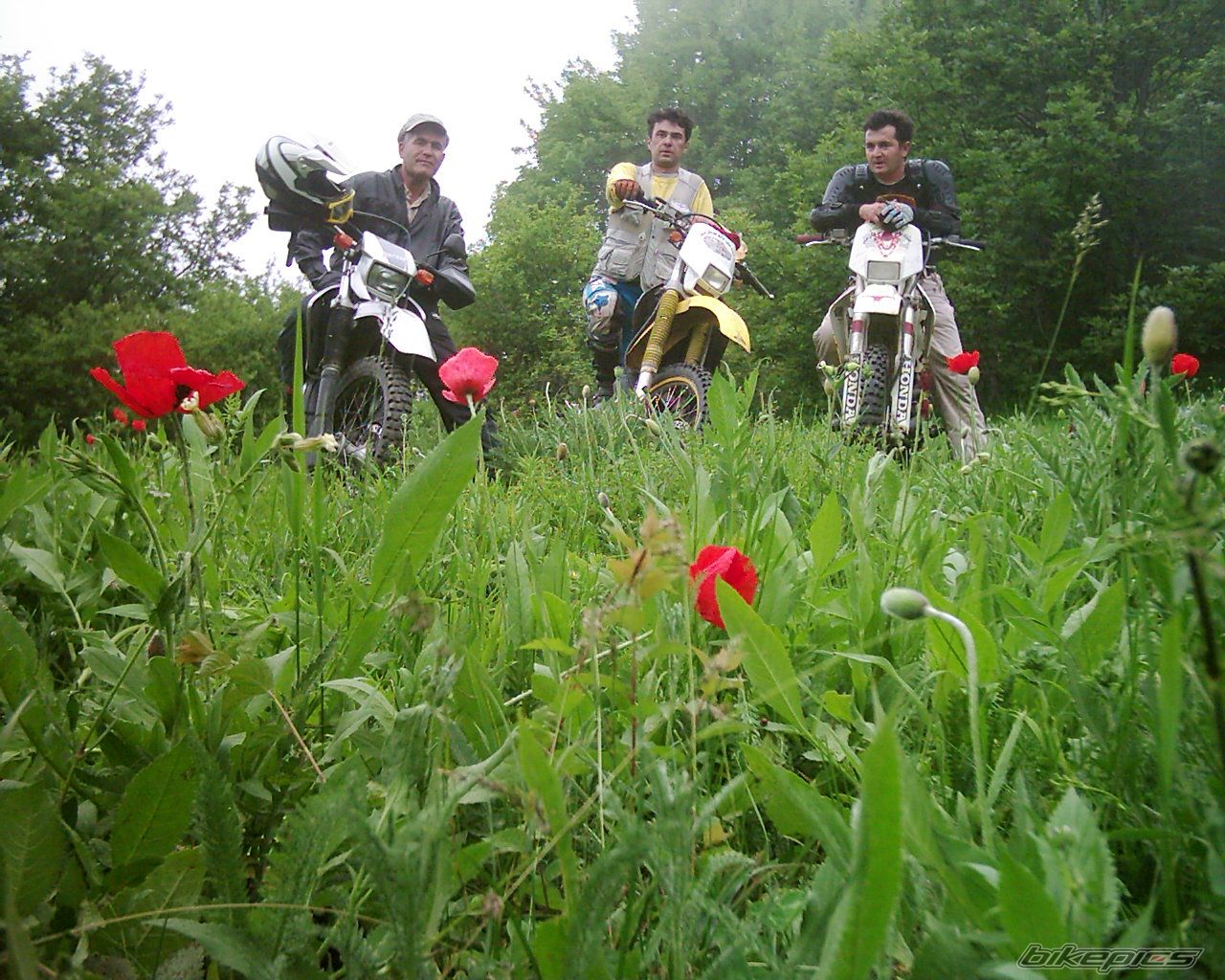 Bike Photo 1859302