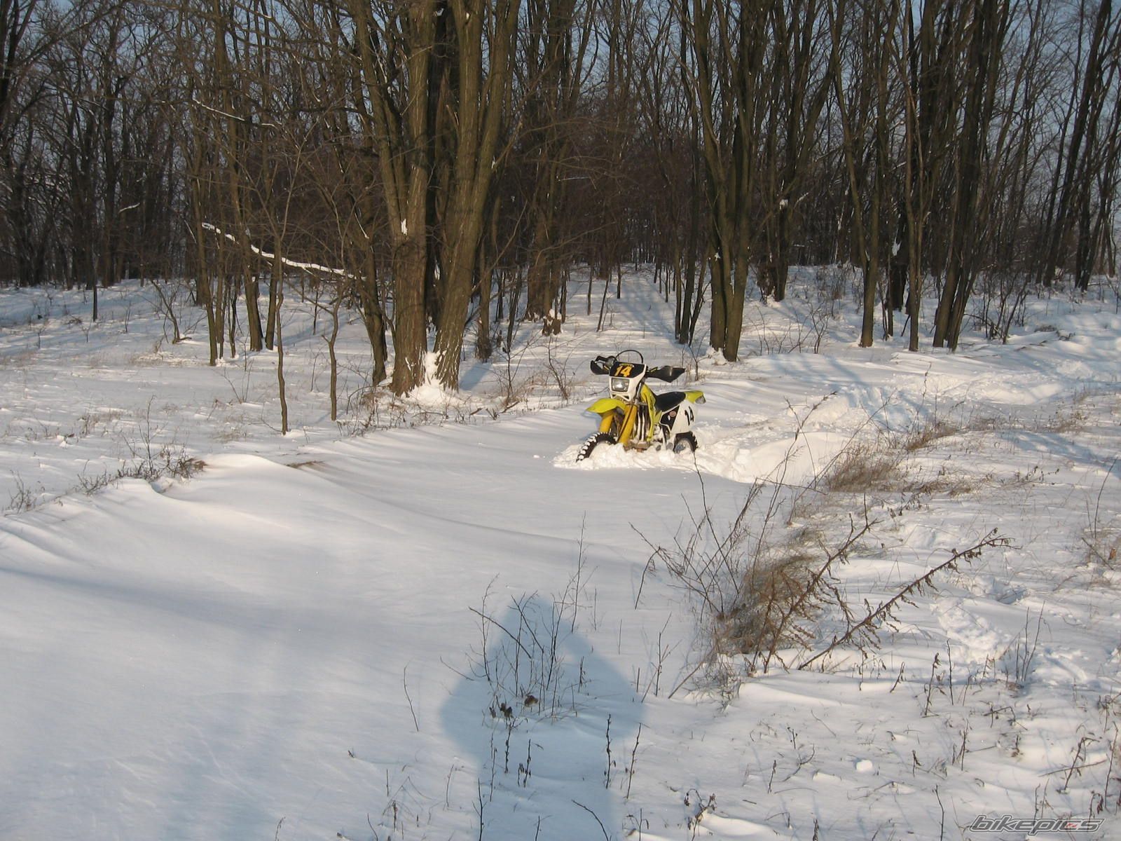 Bike Photo 1859442