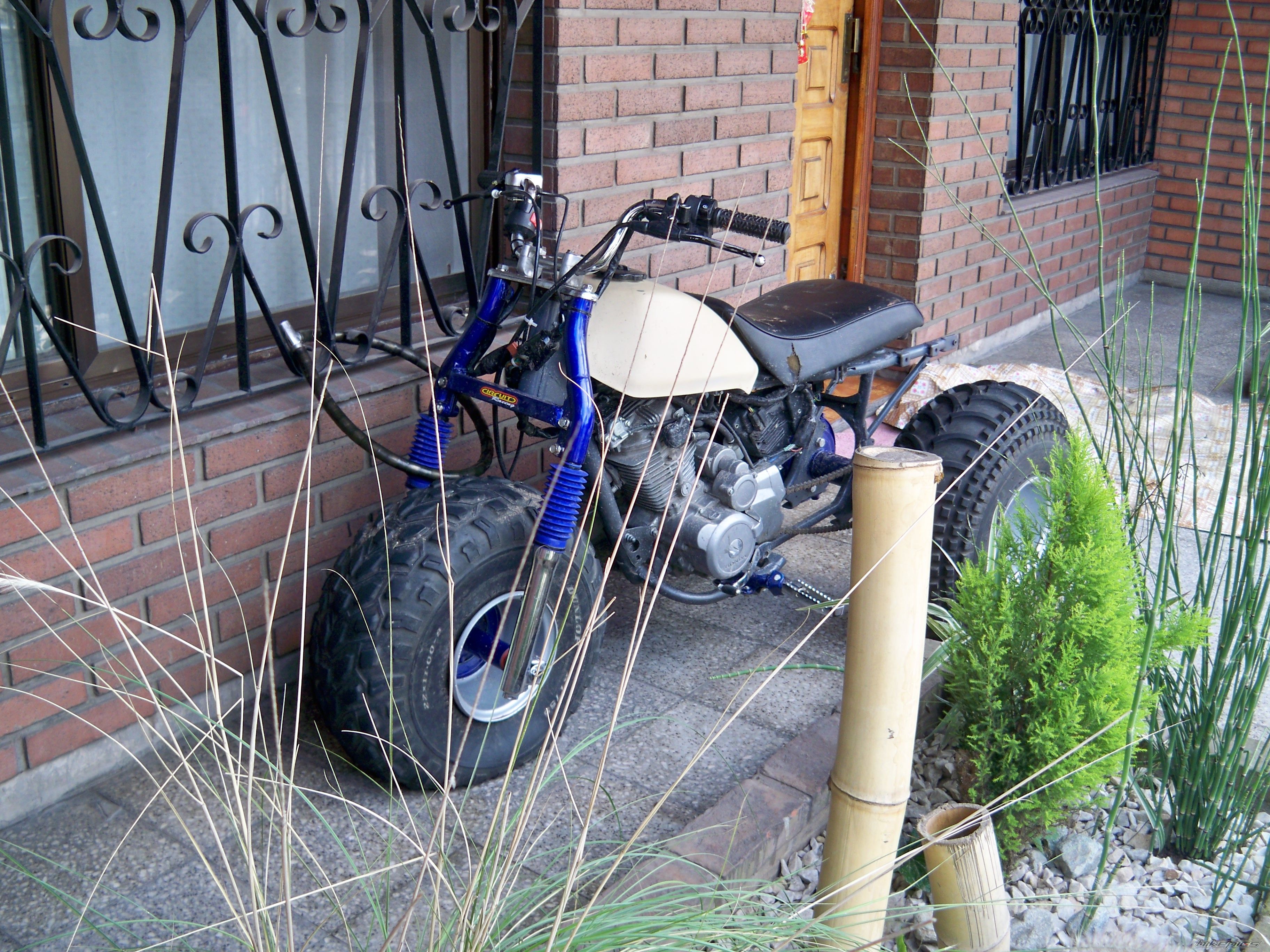 Photo 1860072