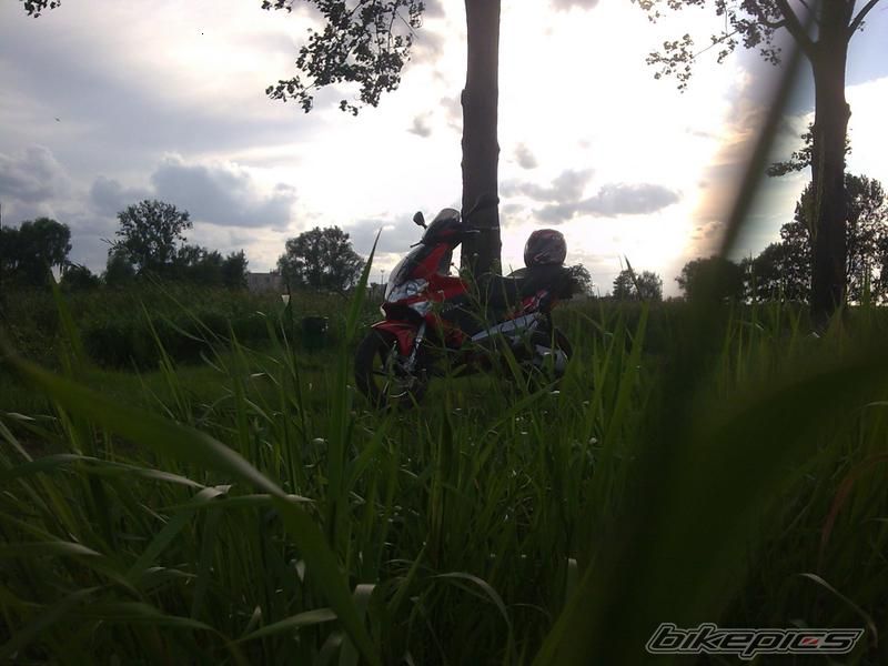Photo 1860246