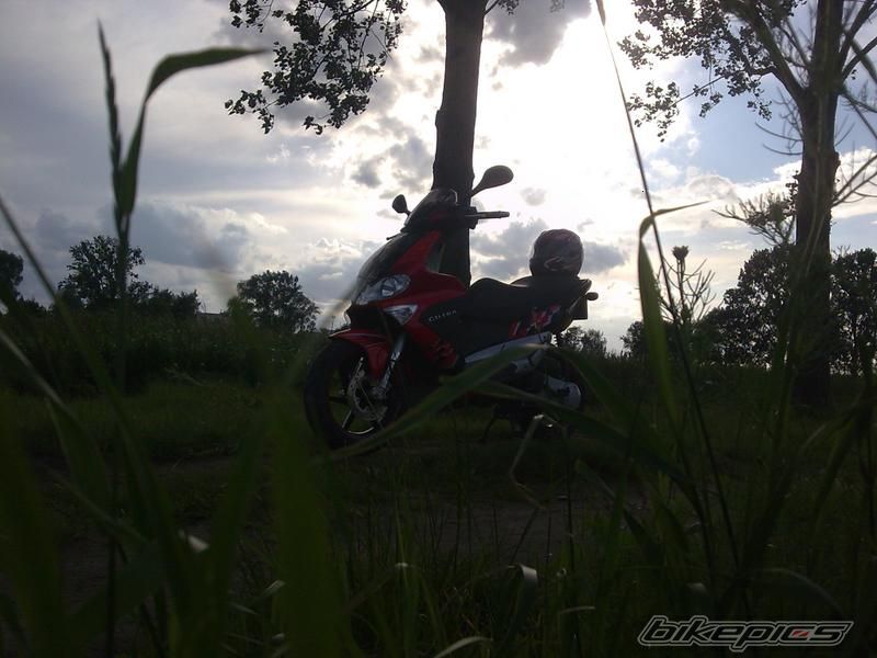 Photo 1860247