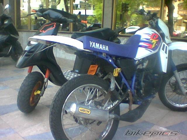 Photo 186171