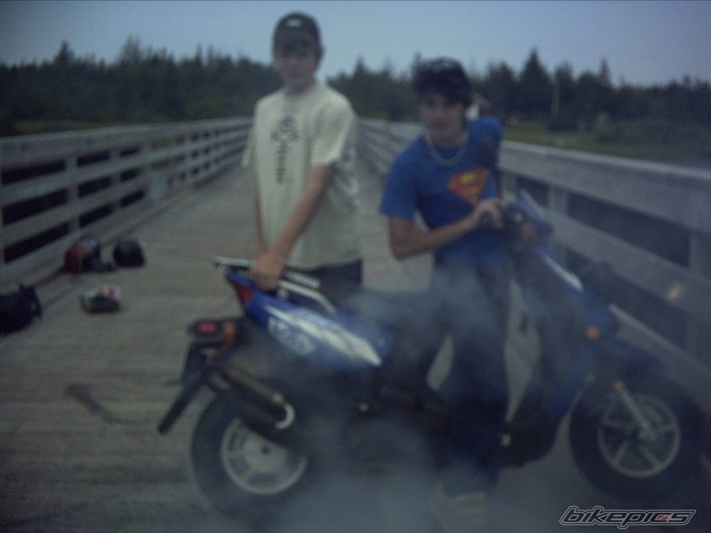 Photo 186175