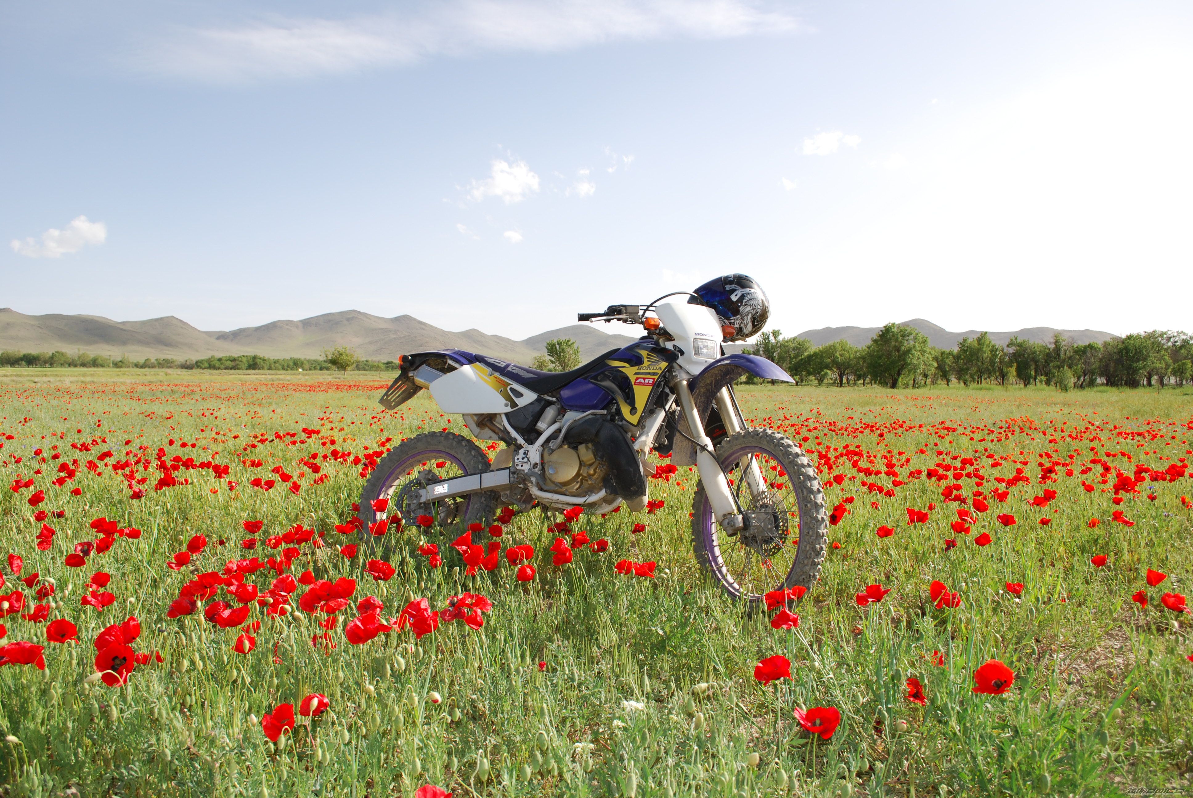 Bike Photo 1861772