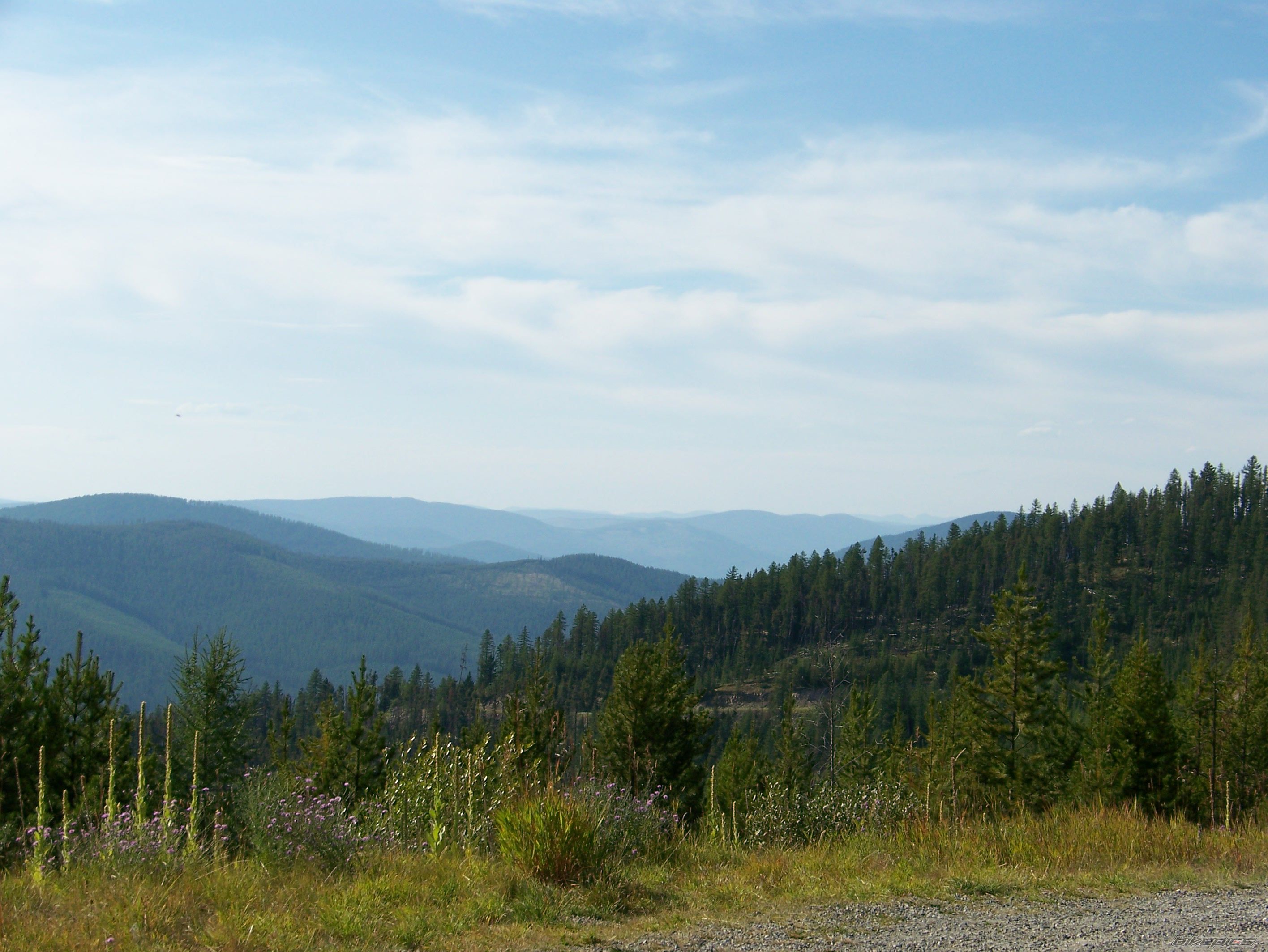 Photo 1862291
