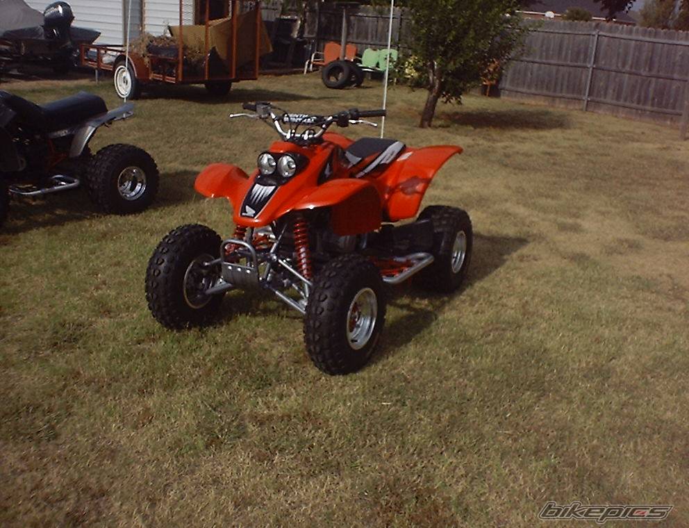 Photo 186235