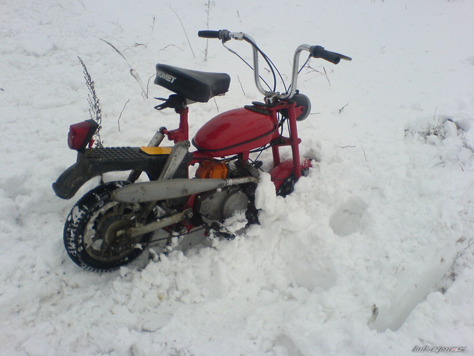 Photo 1862413