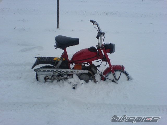 Photo 1862415