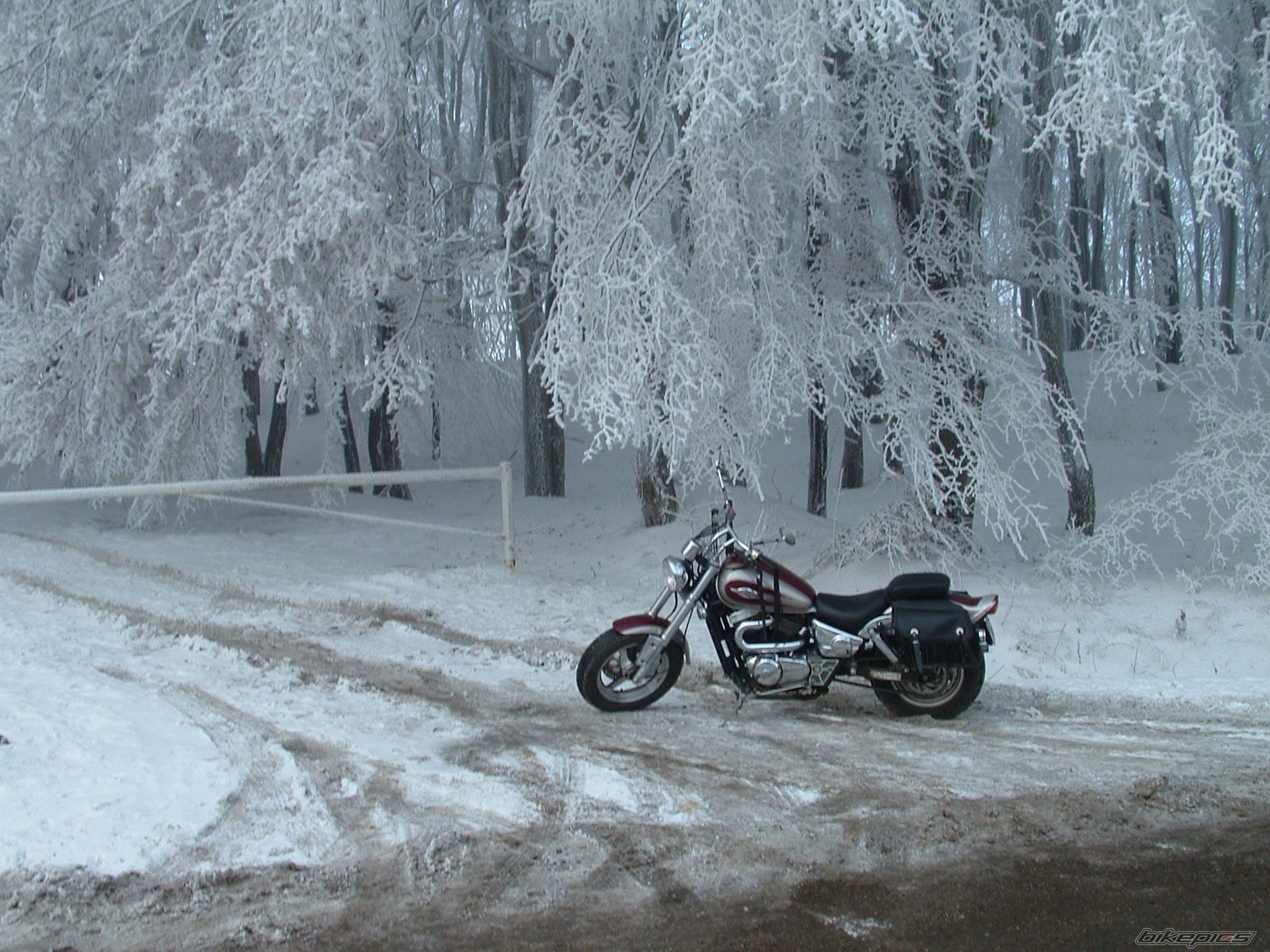 Photo 1862452