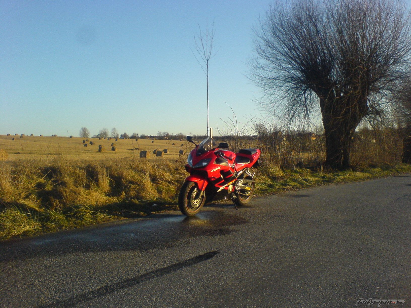 Photo 1862486