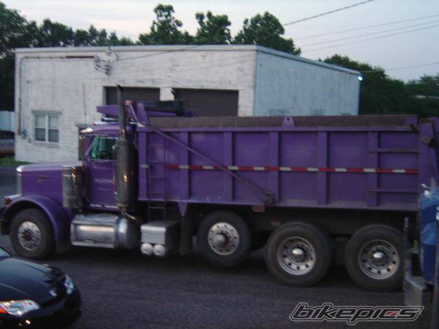 Photo 186262