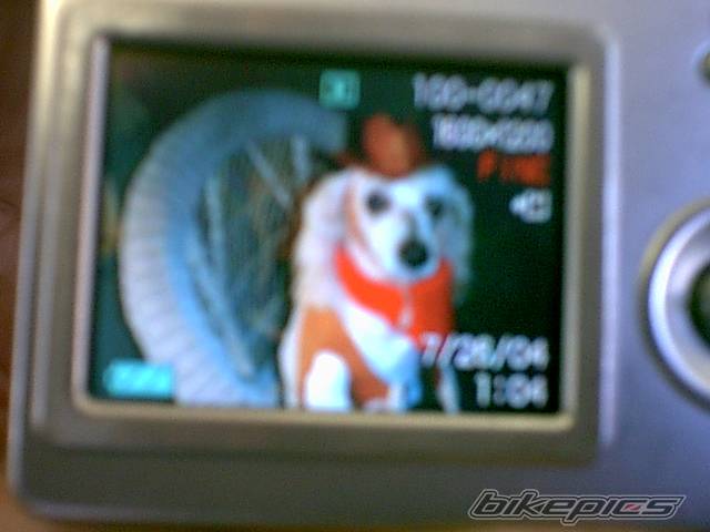 Photo 186277