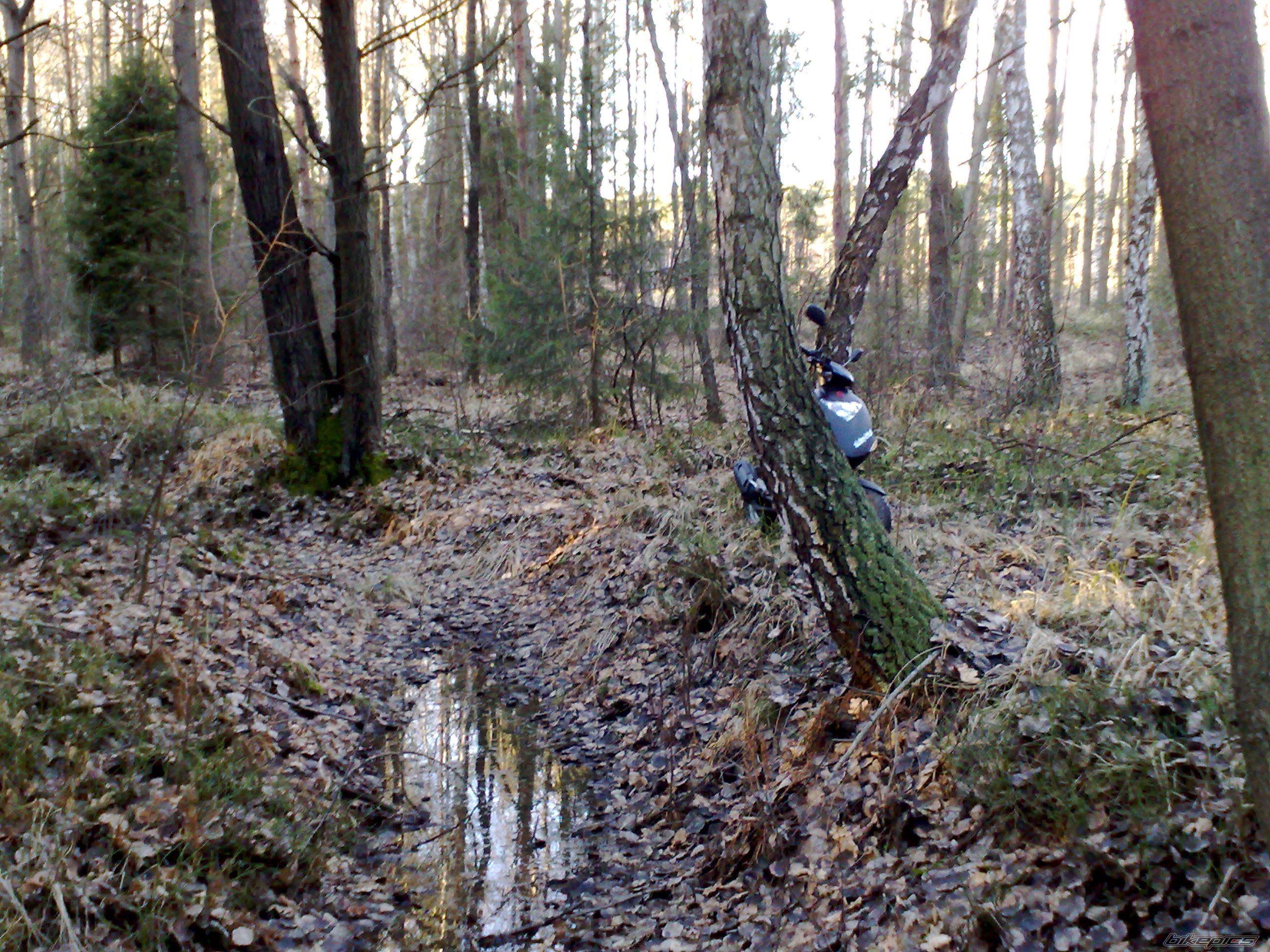 Photo 1862976