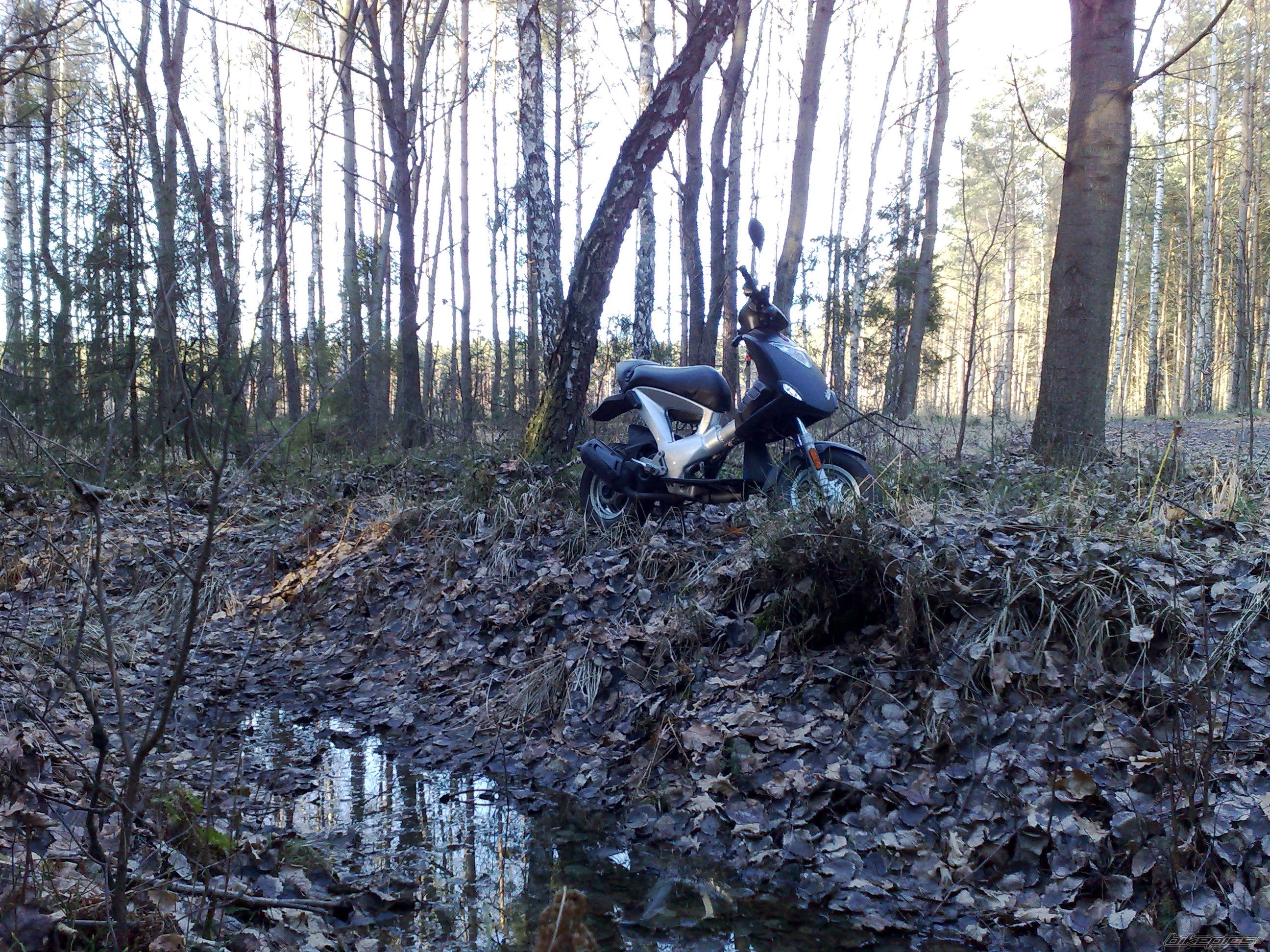 Photo 1862977