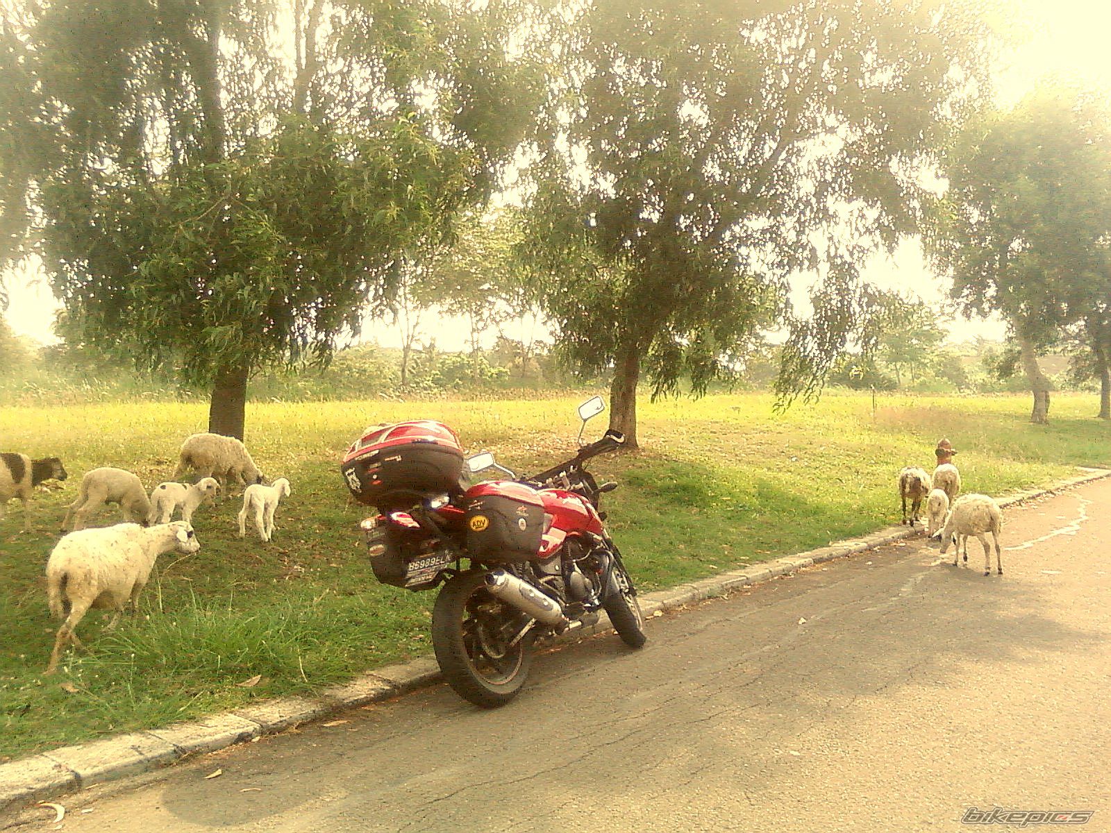 Bike Photo 1863469