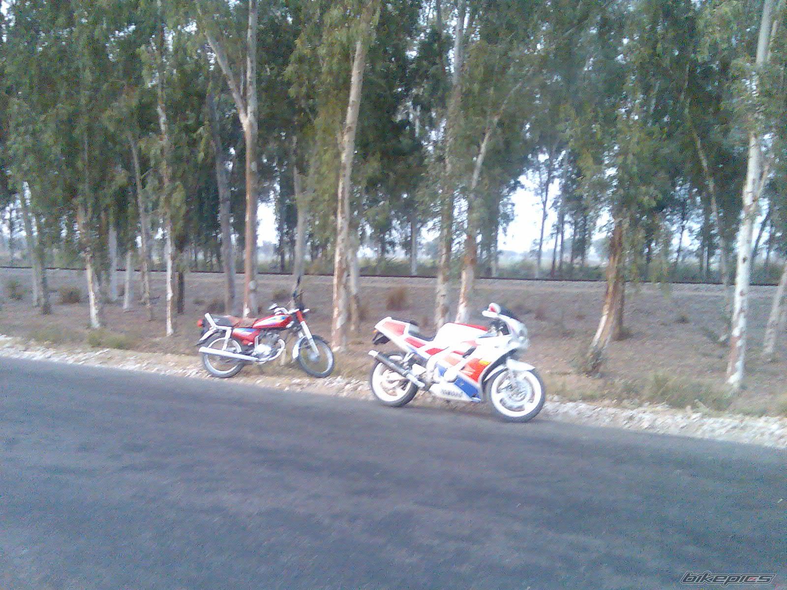 Photo 1863660