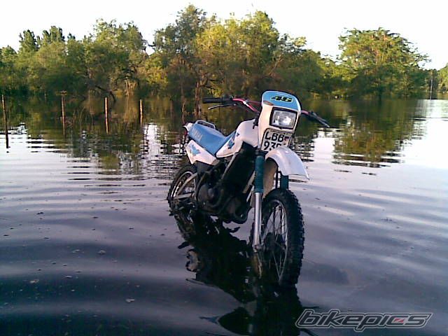 Photo 1864102