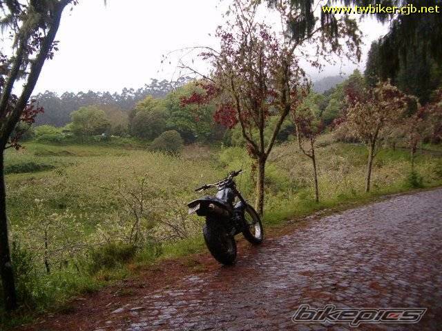 Bike Photo 186421