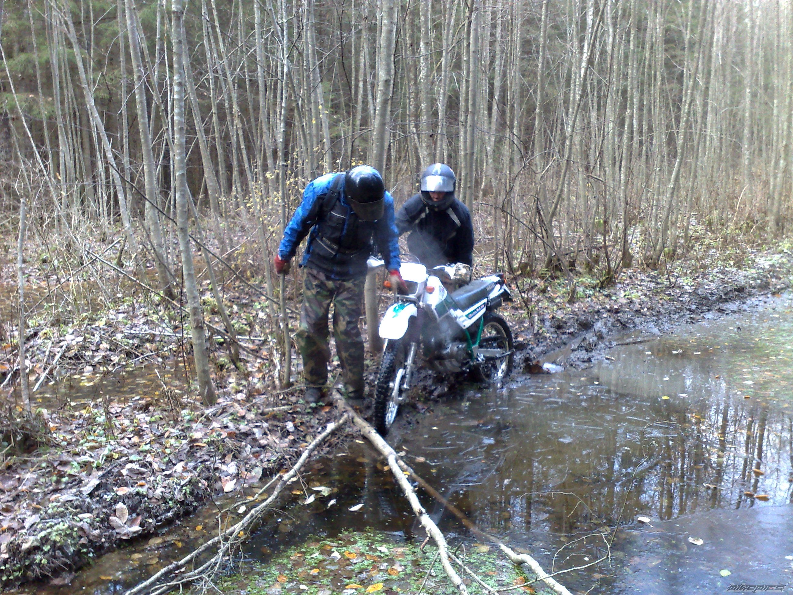 Photo 1864320