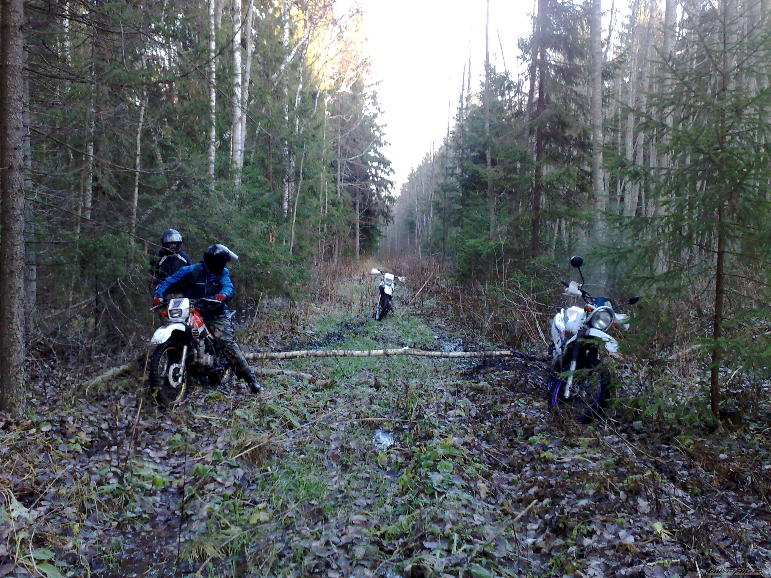 Photo 1864321