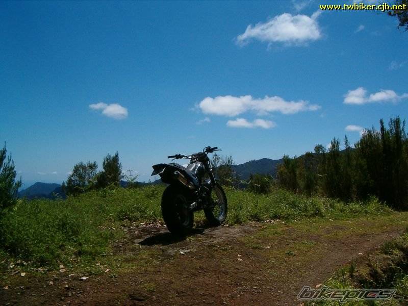 Photo 186439
