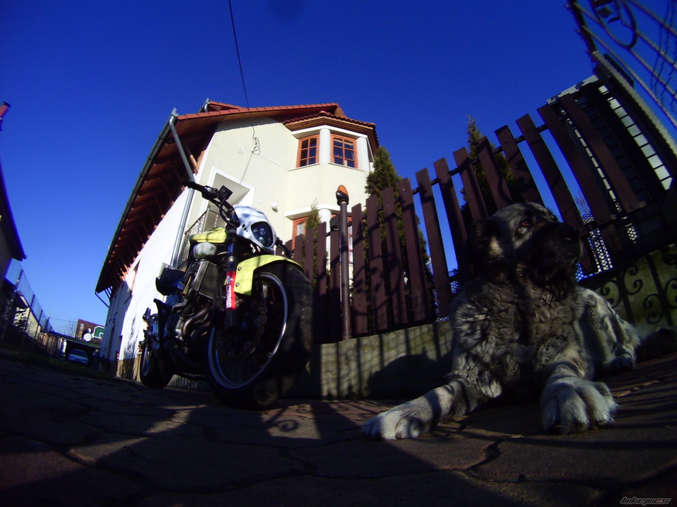Photo 1864483
