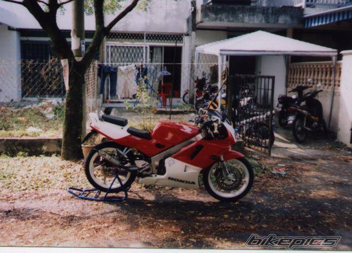 Photo 186453
