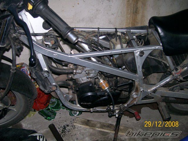 Photo 1864658